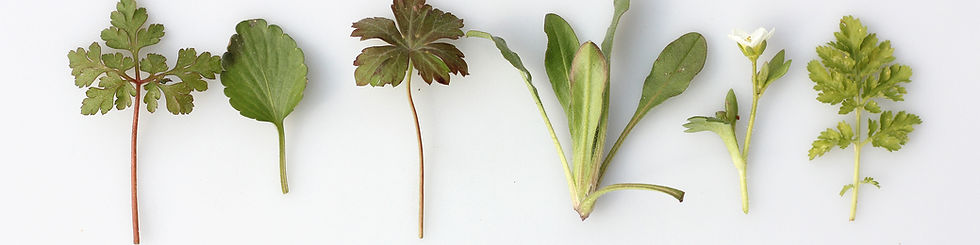Image by Angèle Kamp