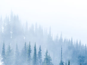 Winter Solstice Tarot - some spiritual light for anyone feeling a little in the dark