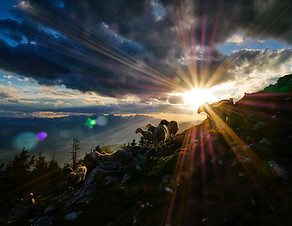 Image by Jaka Škrlep