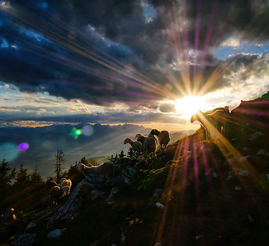 Image by Jaka Škrlep