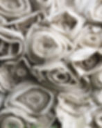 the state of the hemp industry