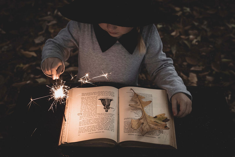 Image by Alexia Rodriquez