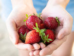Strawberries - June Edible Of The Month