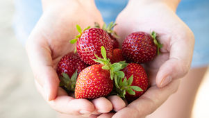 Jonah's Crew (0-4yrs) Summer Fruits
