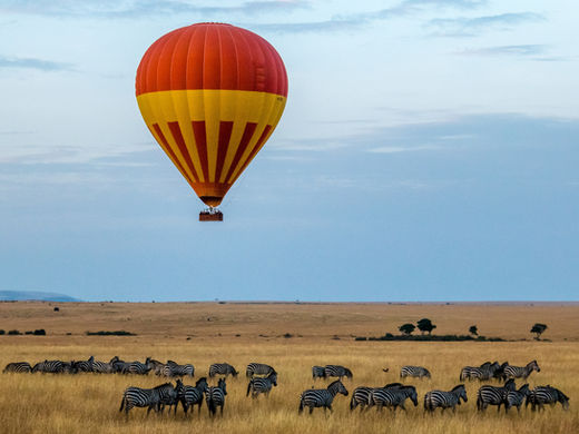 8 Reasons Why You Should Explore Africa on a River Cruise