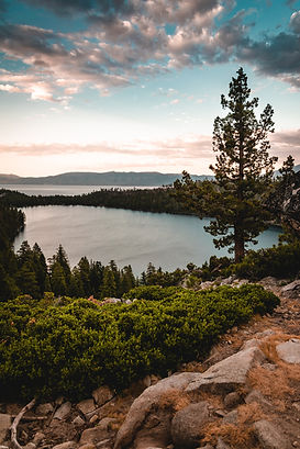 Image by Alec Krum