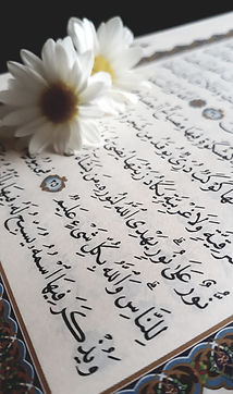 Image by Duniah almasri
