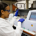 Image by National Cancer Institute