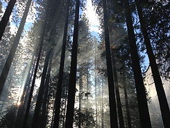 Image by Mike Petrucci