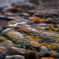 Image by Robert Zunikoff
