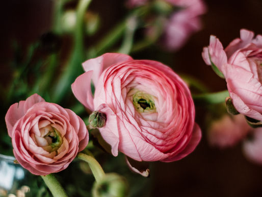 Sex and Chastity: Before and After Marriage