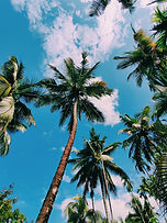 Image by Sonaal Bangera
