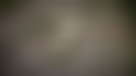 【「7」】 (文: Yasue)