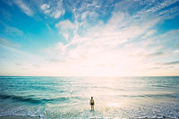 Image by frank mckenna