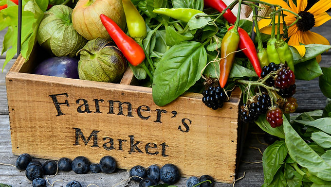 Taste the Best of League City Local Cuisine