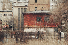 Image by Ivan Aleksic