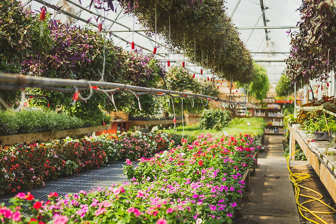 greenhouse builders in salem