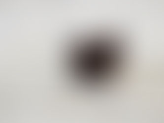 🌼 What I Read in June: Only 5-Star Reads, Please!