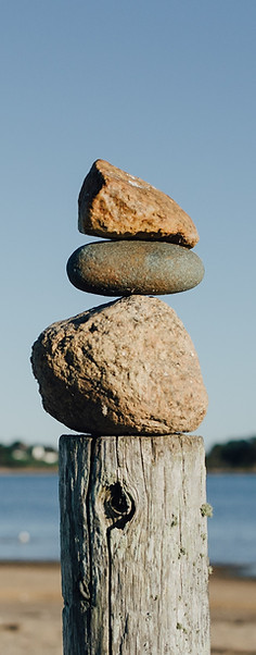 Image de Kelly Sikkema