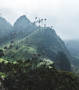 Image by Jan Kronies