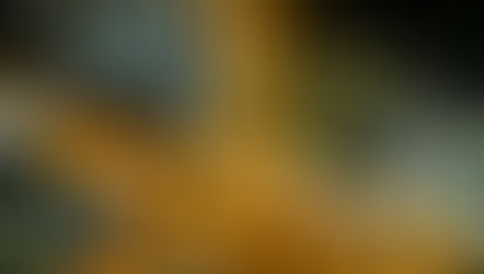 Strategic Portfolio Management: Turning Strategy Into Delivery