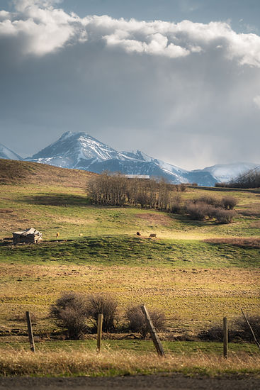Image by Igor Kyryliuk