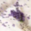 Image by volant