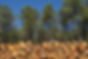 Image de Pass Horizon