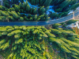 Program Ochrony Środowiska w gminie – obowiązki i znaczenie dokumentu