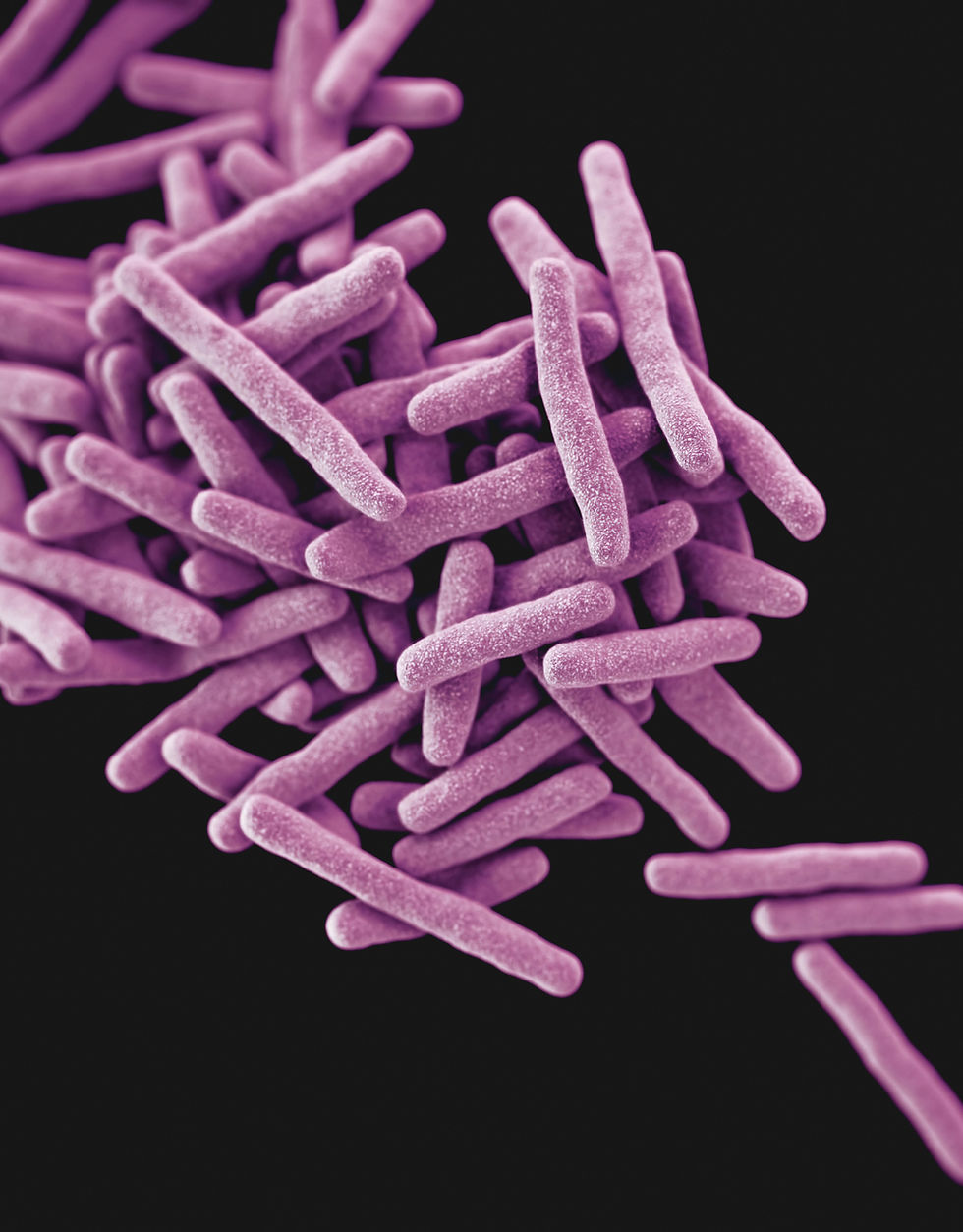 High Confidence Mycobacteria Identification