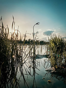Image by Ivan Rohovchenko