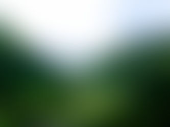 I Will Fear No Evil, For God Is With Me