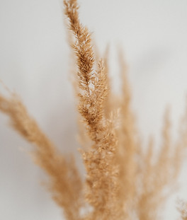 Image by Marius Cern