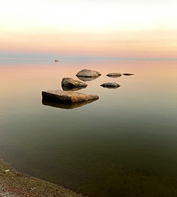 Image by Olesya Zagorodnyuk