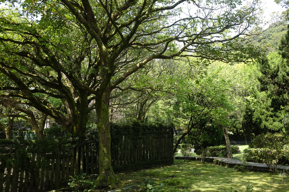 Borrowed Scenery in the Landscape