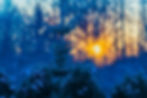 Evergreen trees adorned with snow stand in contrast against a vibrant sunset, creating a serene winter landscape.