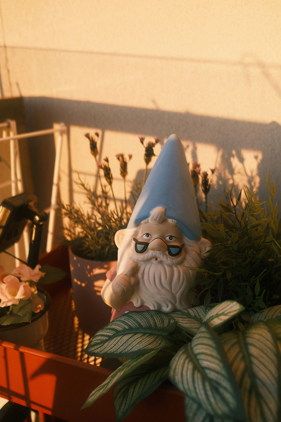 Garden gnome with blue hat and sunglasses surrounded by potted plants on a balcony. Warm evening light casts long shadows.