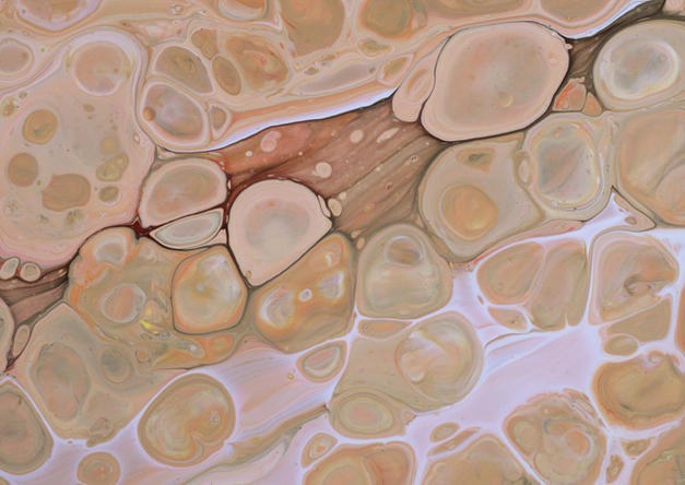 MEND WELL - Immune, Detox & Digestive Support | The Holistic Rehab