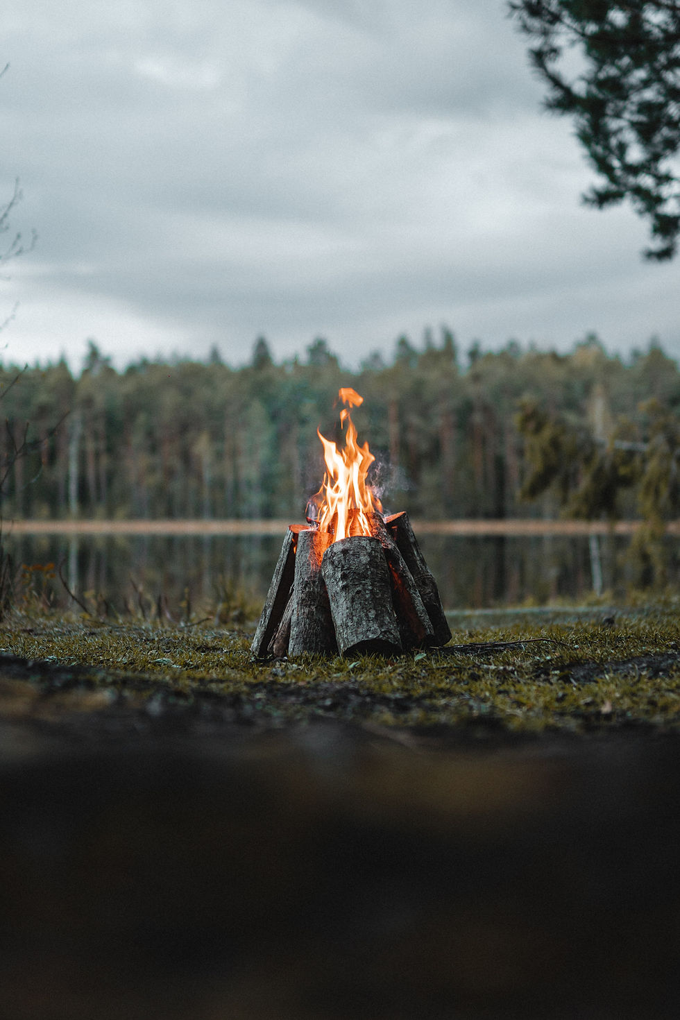 The Art of Fire