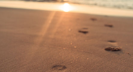 Foot across a beach with the tide out and the sun setting