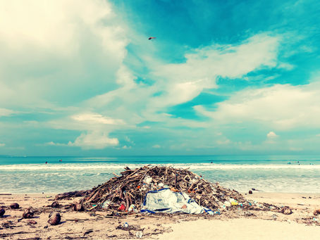 Are Sustainable Options Available to Surfers Today?