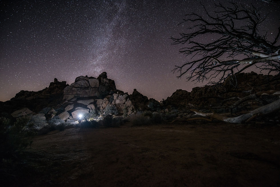 stargazing in Joshua Tree National Park in California