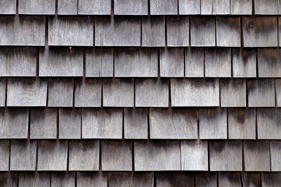 Cedar Shake Shingle Roof Cleaning in Vancouver, BC