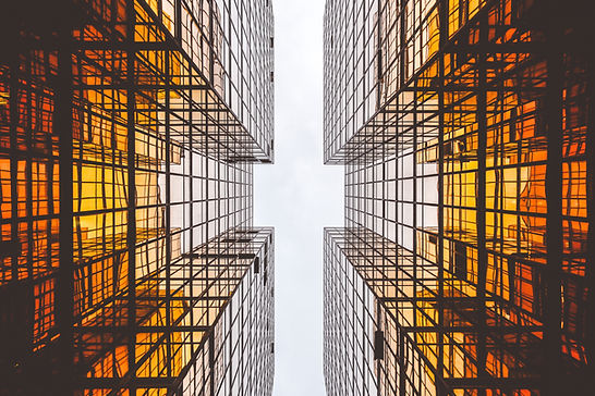 Image by Alex wong