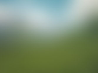 Green glamour: latest updates on our inaugural event
