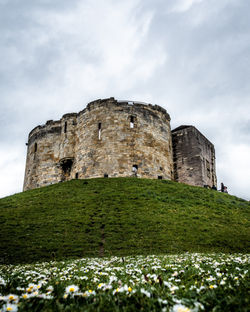 Image by Chris Curry