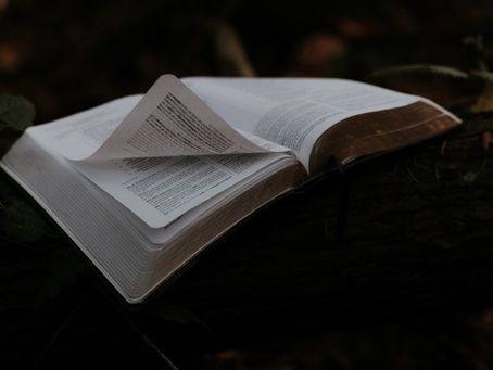 ホセア書 6章4節~11節 キリストの様に歩む恵み