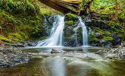 Image de WestBoundary Photography chris 