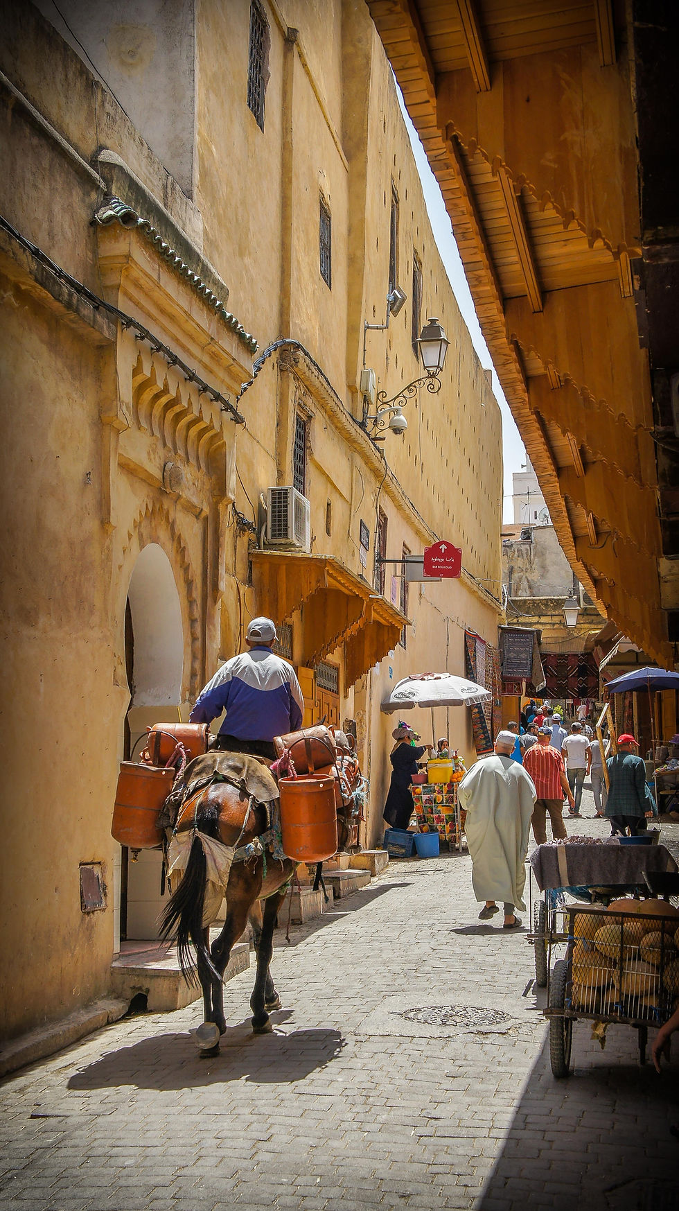 Morocco Issues First Medical Cannabis Permits