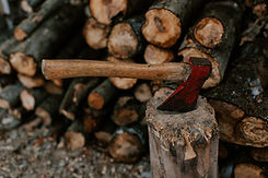 Image by Alexei Scutari